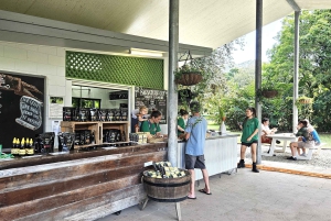 Cairns: Cape Tribulation, Mossman Gorge & Daintree Day Tour