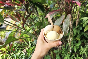 Cairns: Cape Tribulation, Mossman Gorge & Daintree Day Tour