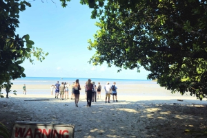 Cairns: Cape Tribulation, Mossman Gorge & Daintree Day Tour