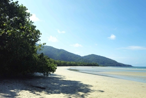 Cairns: Cape Tribulation, Mossman Gorge & Daintree Day Tour