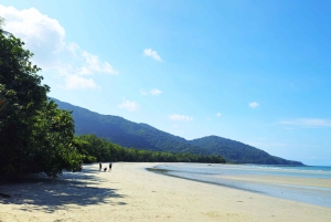 Cairns: Cape Tribulation, Mossman Gorge & Daintree Day Tour