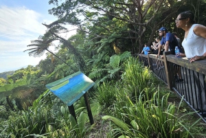 Cairns: Cape Tribulation, Mossman Gorge & Daintree Day Tour