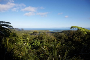 Cairns: Cape Tribulation, Mossman Gorge & Daintree Day Tour