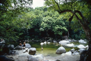 Cairns: Cape Tribulation, Mossman Gorge & Daintree Day Tour