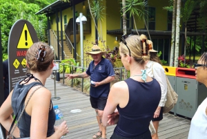 Cairns: Cape Tribulation, Mossman Gorge & Daintree Day Tour