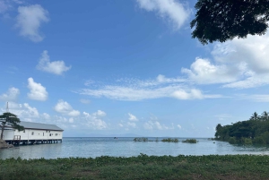 Cairns: Cape Tribulation, Mossman Gorge & Daintree Day Tour