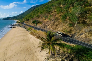Cairns: Daintree & Cape Tribulation Guided 4WD Tour