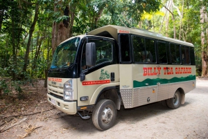Cairns: Daintree & Cape Tribulation Guided 4WD Tour