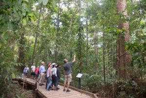 Cairns: Daintree & Cape Tribulation Guided 4WD Tour