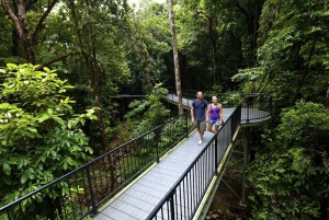 Cairns: Cape Tribulation, Mossman Gorge & Daintree Day Tour