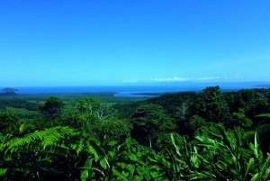 Cairns: Cape Tribulation, Mossman Gorge & Daintree Day Tour