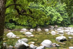 Cairns: Cape Tribulation, Mossman Gorge & Daintree Day Tour