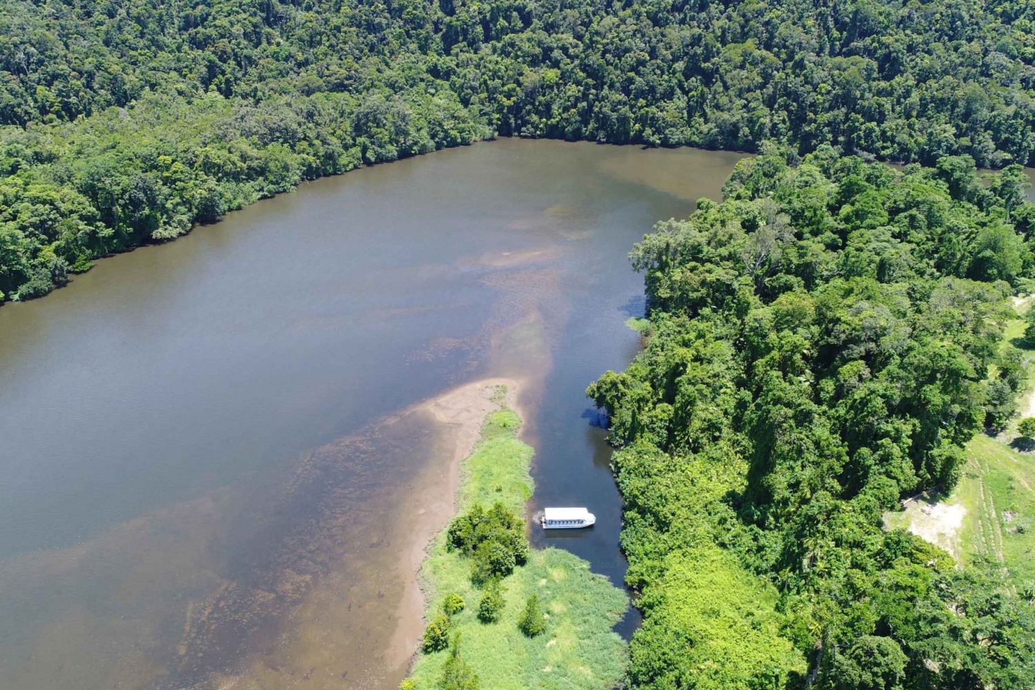 Cairns: Daintree Rainforest Wildlife Experience Cruise