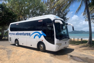 Cairns: Explore Dunk Island Day Tour