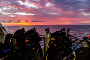Cairns: Pro Dive 5 Day Learn to Dive Great Barrier Reef