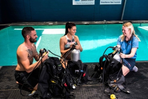 Cairns: Pro Dive 5 Day Learn to Dive Great Barrier Reef