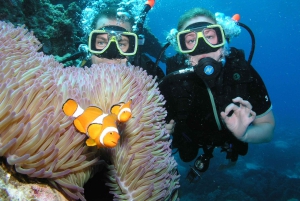 Cairns: Pro Dive 5 Day Learn to Dive Great Barrier Reef