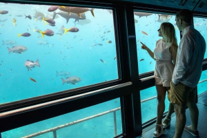 Cairns: Great Barrier Reef Pontoon - Indulgence Package