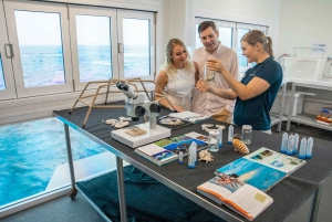 Cairns: Great Barrier Reef Pontoon - Indulgence Package