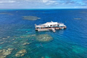 Cairns: Great Barrier Reef Pontoon - Indulgence Package