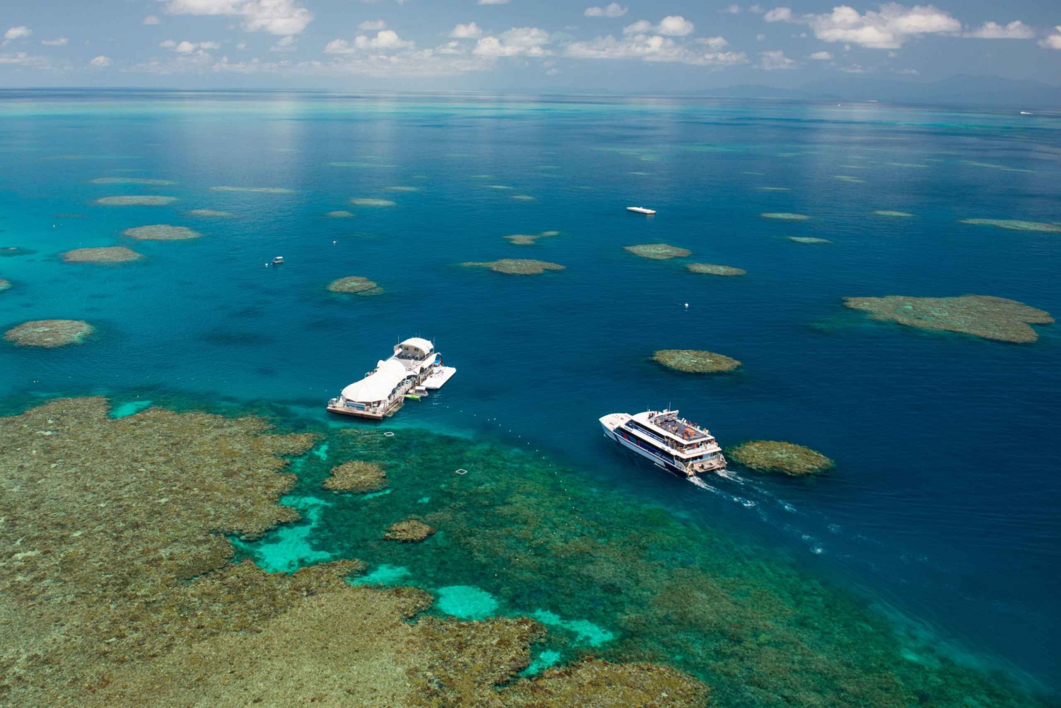From Cairns: Great Barrier Reef Pontoon Experience