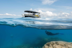 Cairns: Great Barrier Reef Small Group Snorkelling Tour