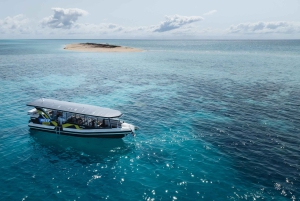 Cairns: Great Barrier Reef Small Group Snorkelling Tour