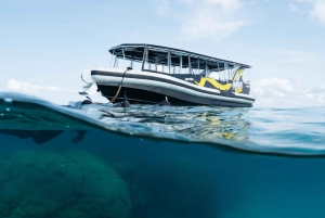 Cairns: Great Barrier Reef Small Group Snorkelling Tour