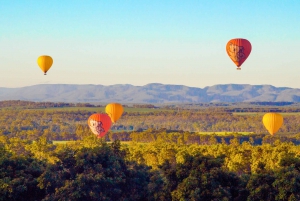 Cairns: Hot Air Balloon Flight with Transfers