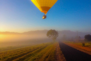 Cairns: Hot Air Balloon Flight with Transfers