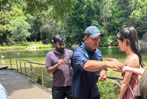 Cairns: Paronella Park Rainforest Full-Day Tour with Dinner