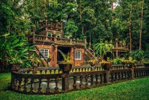 Cairns: Paronella Park Rainforest Full-Day Tour with Dinner