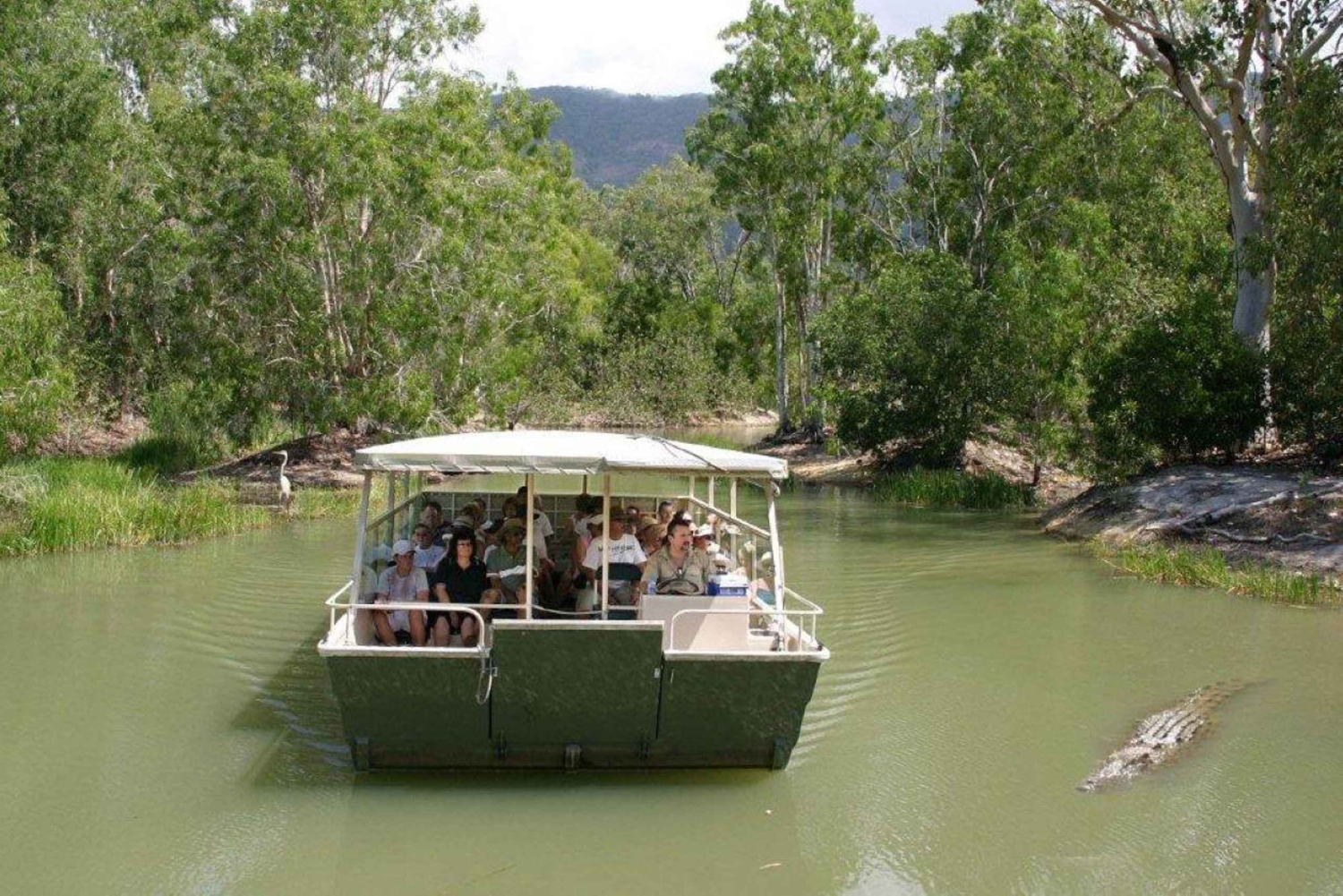Cairns Shore Excursion: Crocodile & Wildlife Park Tour