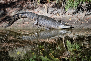 Cairns: Utflykt till krokodil- och djurpark