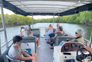 Cairns: Sightseeing flodbådssafari med læskedrikke
