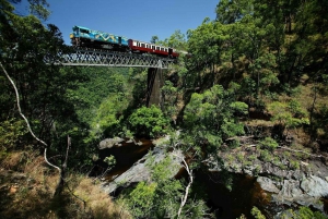 Cairns: Skyrail, Kuranda, and Rail Tour with Hotel Transfers