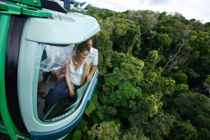 Cairns: Skyrail, Kuranda, and Rail Tour with Hotel Transfers