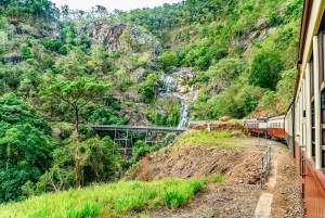 Cairns: Skyrail, Kuranda, and Rail Tour with Hotel Transfers