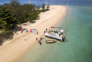 Cairns: Snorkel & Dive a Secluded Great Barrier Reef Island