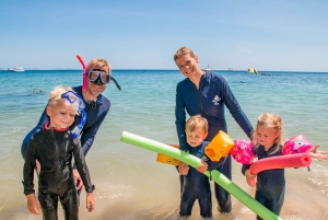 Cairns: Snorkel & Dive a Secluded Great Barrier Reef Island