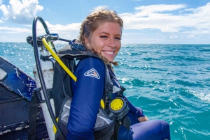 Cairns: Snorkel & Dive a Secluded Great Barrier Reef Island