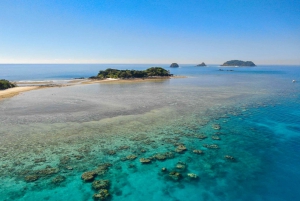 Cairns: Snorkel & Dive a Secluded Great Barrier Reef Island