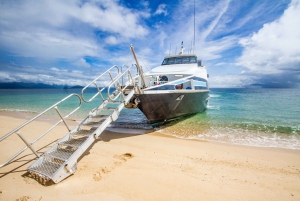 Cairns: Snorkel & Dive a Secluded Great Barrier Reef Island