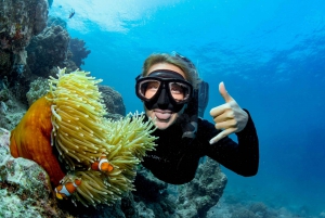 Cairns: Snorkel & Dive a Secluded Great Barrier Reef Island