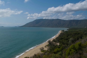 Cairns: Cape Tribulation & Daintree Rainforest Premium Tour