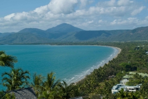 Cairns: Cape Tribulation & Daintree Rainforest Premium Tour