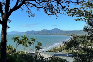 Cairns: Cape Tribulation & Daintree Rainforest Premium Tour