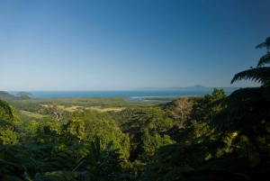 Cairns: Cape Tribulation & Daintree Rainforest Premium Tour