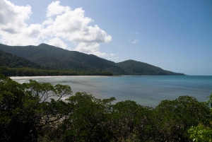 Cairns: Cape Tribulation & Daintree Rainforest Premium Tour