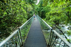 Daintree, Mossman Gorge & Cape Trib Tour with Cruise & Lunch